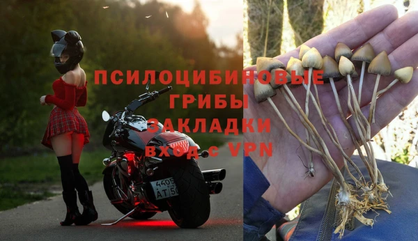 тгк Абдулино