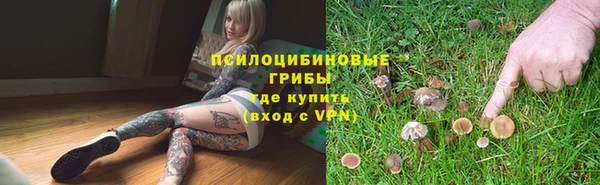 мяу мяу мука Алексин
