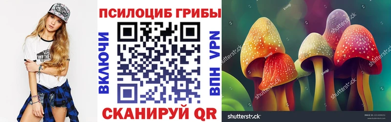 дарнет шоп  мега онион  Псилоцибиновые грибы MAGIC MUSHROOMS  маркетплейс телеграм  Горячеводский 