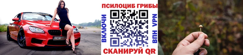 Галлюциногенные грибы мицелий Горячеводский